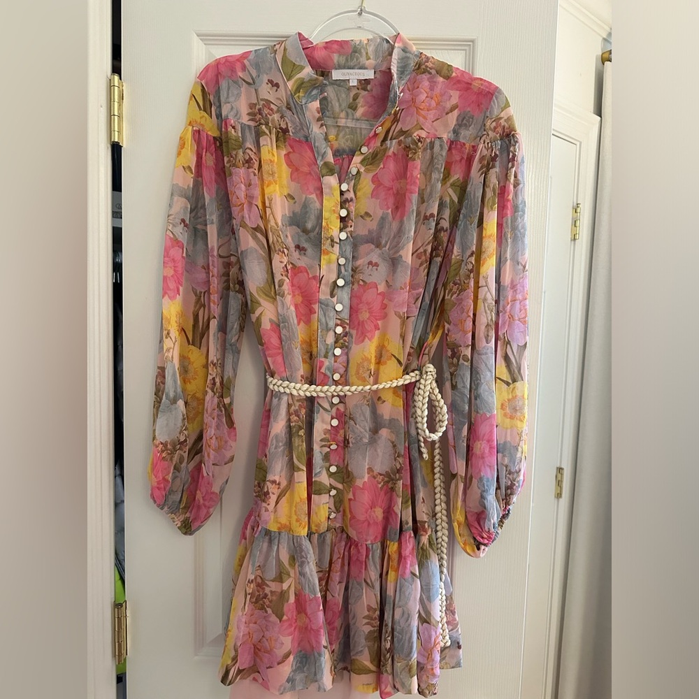 Olivaceous RENEE BUTTON DOWN MINI DRESS